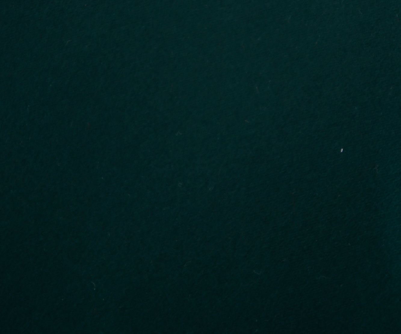 Franco spada ( フランコスパダ ) スーパーサテン無地ネクタイ:ブリティッシュグリーン