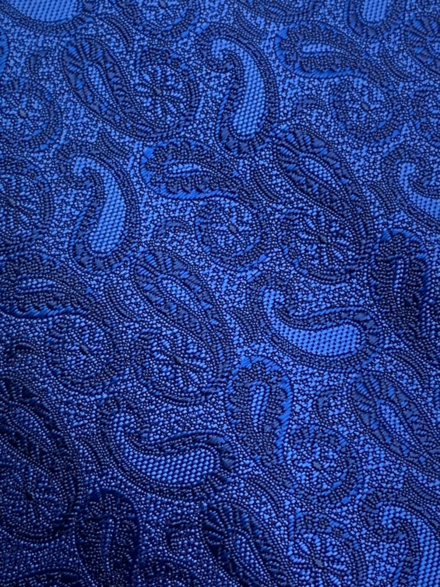 AZZURRO （アズーロ）スモールペーズリーネクタイ：ダークブルー
